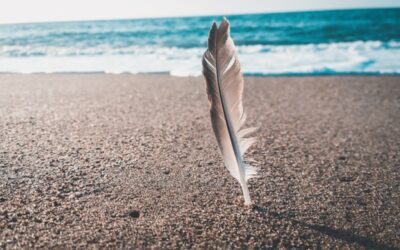 What is Direct Cremation?